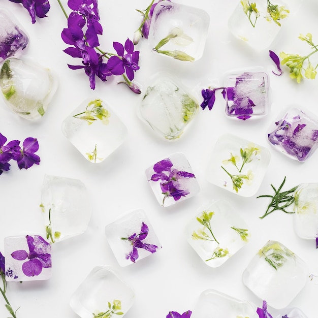 Cubitos de hielo claro con plantas y flores.