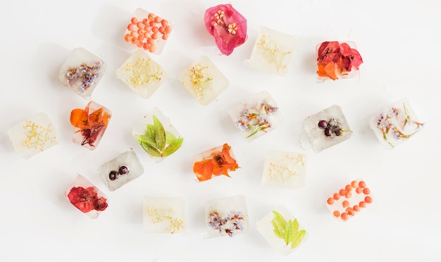 Foto gratuita cubitos de hielo con flores brillantes sobre fondo blanco