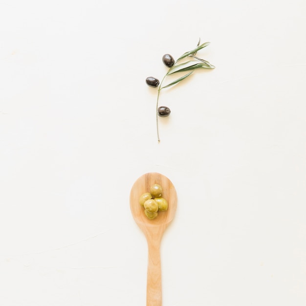 Cuchara con aceitunas y rama de olivo