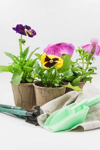 Cucharada de medir; Herramientas de jardinería; Servilleta y maceta de turba con pensamiento y petunia contra el fondo blanco