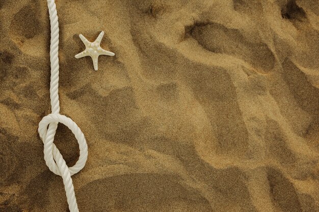 Cuerda y estrella de mar en la arena