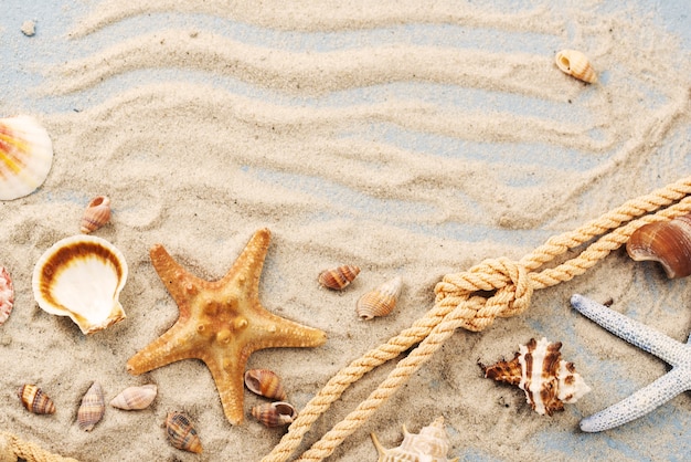 Foto gratuita cuerda con estrellas de mar y conchas al lado