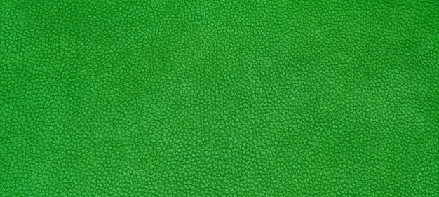 Cuero textura verde