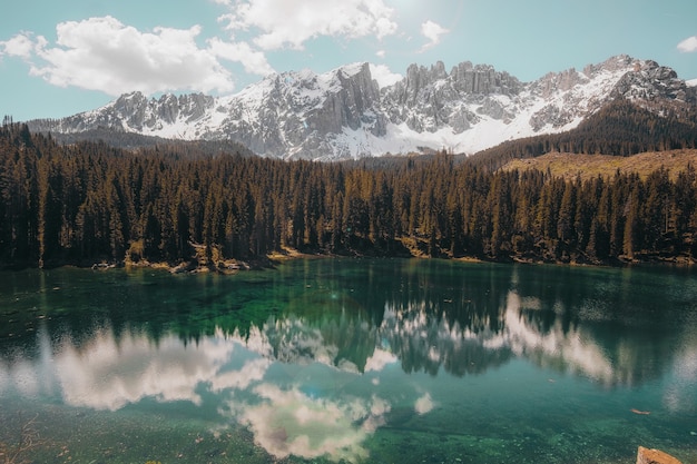 Foto gratuita cuerpo de agua con árboles a los lados.