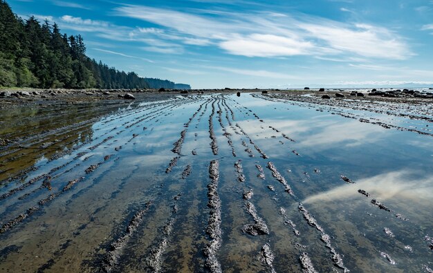 Cuerpo de agua cerca de árboles verdes bajo un cielo azul