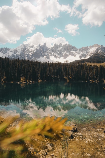 Foto gratuita cuerpo de agua y pinos verdes