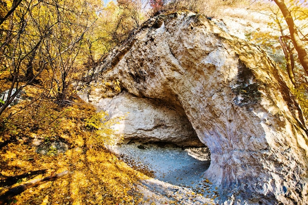 Cueva de montaña de piedra caliza en el bosque de hojas amarillas