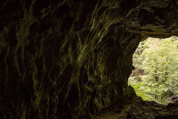 Cueva Muzeva Hizica desde el interior con vistas a un bosque en Skrad en Croacia