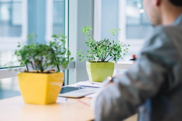 Cultivo hombre trabajando cerca de las plantas