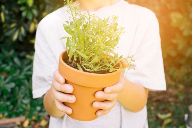 Cultivo infantil con planta verde en maceta.