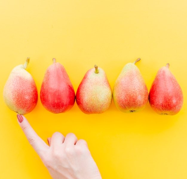 Cultivo mano femenina contando frutas