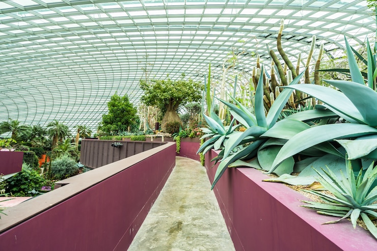 Foto gratuito cúpula de flores jardín y bosque de invernadero para viajar.
