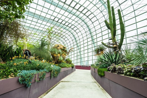 Foto gratuita cúpula de flores jardín y bosque de invernadero para viajar.