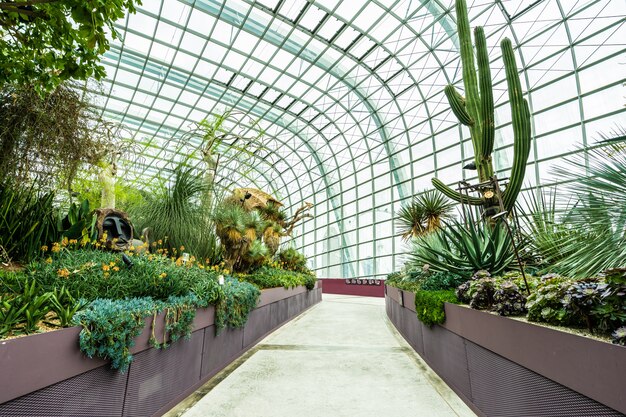 Cúpula de flores jardín y bosque de invernadero para viajar.