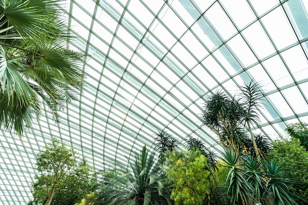 Cúpula de flores jardín y bosque de invernadero para viajar.