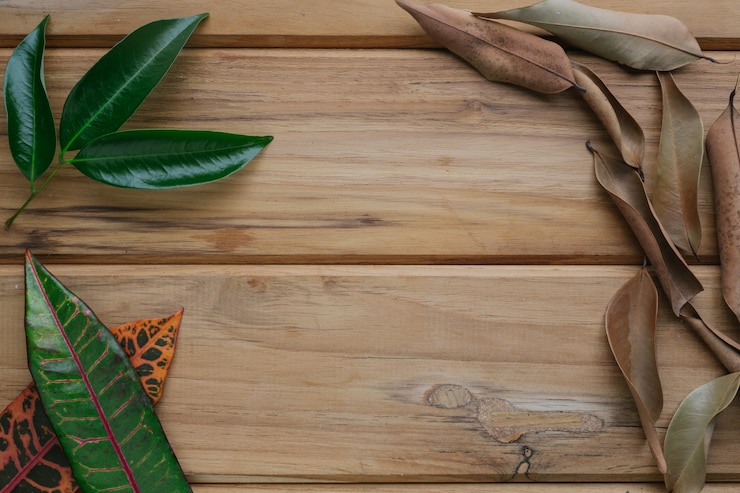 Photo Gratis daun berwarna-warni ditempatkan pada tampilan kayu berwarna cokelat.