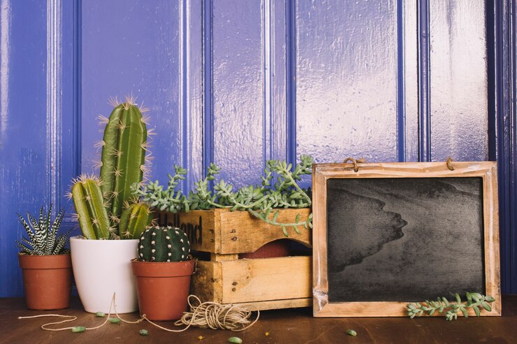 Foto gratuito decoración de cactus y pizarra