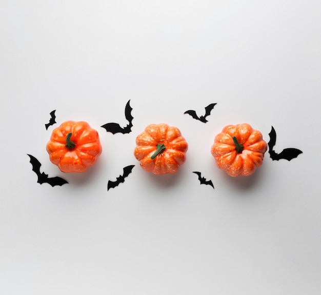 Decoración de calabazas con murciélagos de halloween