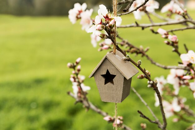 Decoración de casita de madera en un árbol