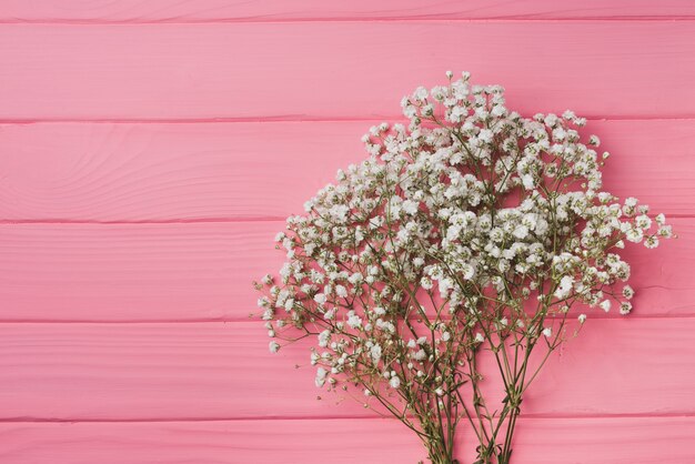 Decoración floral sobre superficie de madera rosa