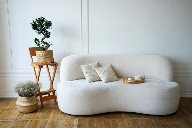 Decoración de la habitación con macetas y sofá.