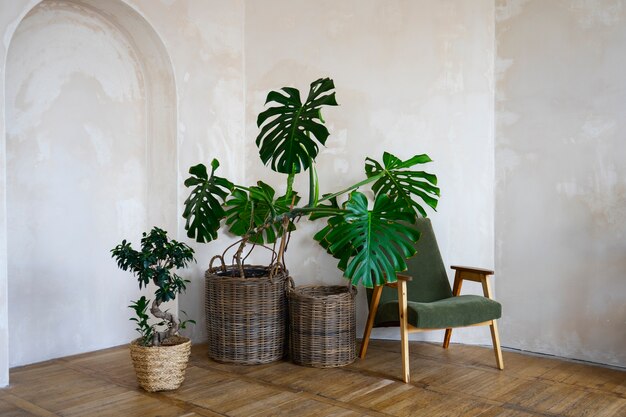 Decoración de la habitación con planta de monstera en maceta.