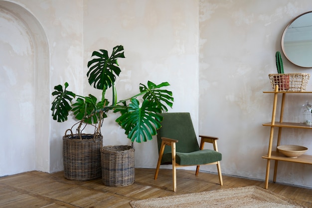 Decoración de la habitación con planta de monstera en maceta.