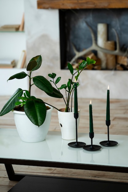 Decoración de la habitación con plantas en macetas y velas en portavelas