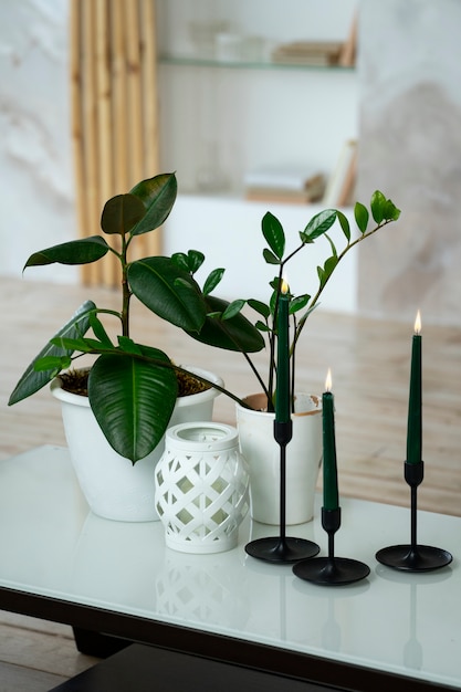 Decoración de la habitación con plantas en macetas y velas en portavelas