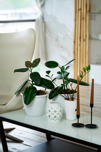 Decoración de la habitación con plantas en macetas y velas en portavelas