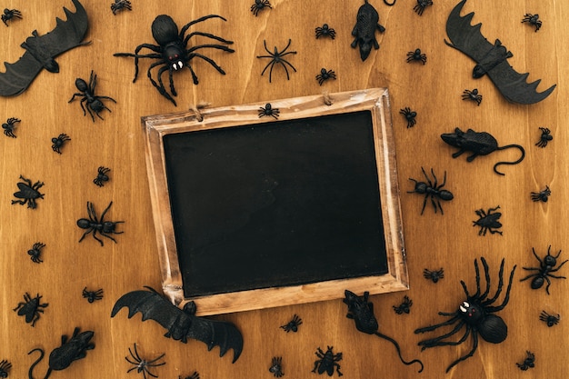 Foto gratuita decoración de halloween con pizarra e insectos