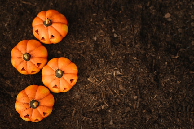 Foto gratuita decoración de halloween con vista superior de calabazas en tierra