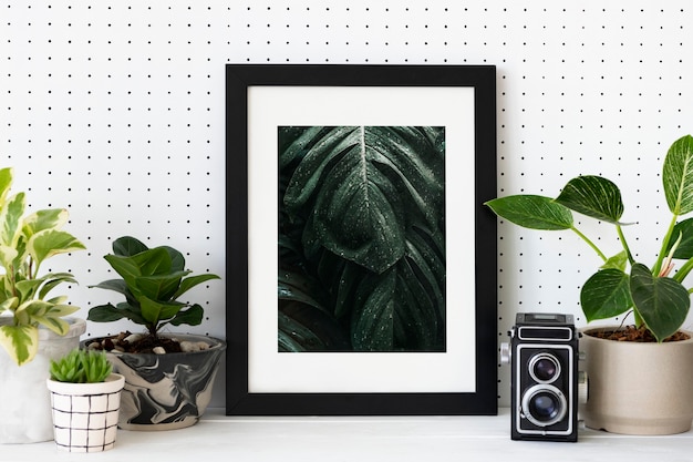 Decoración del hogar amante de las plantas con marco de fotos