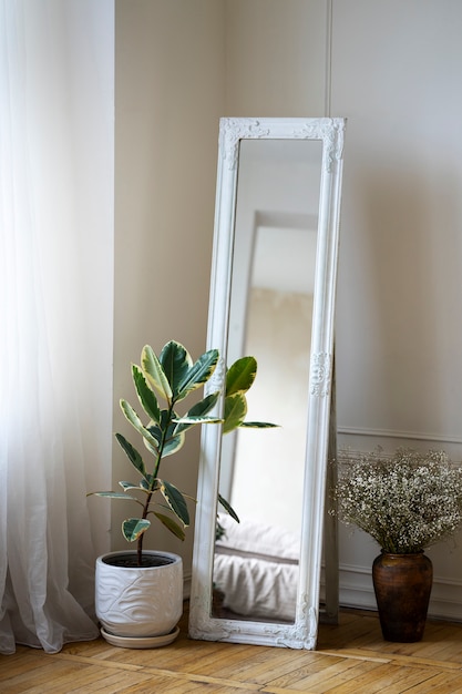 Decoración interior con espejo y planta en maceta.