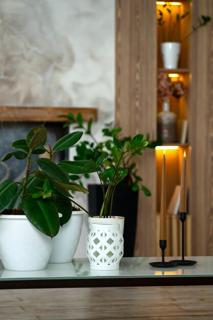 Decoración interior de la habitación con plantas en maceta