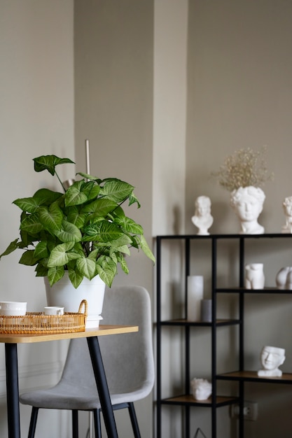 Decoración interior con maceta y mesa.