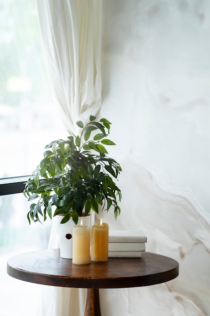 Decoración interior con planta en maceta sobre mesa de madera