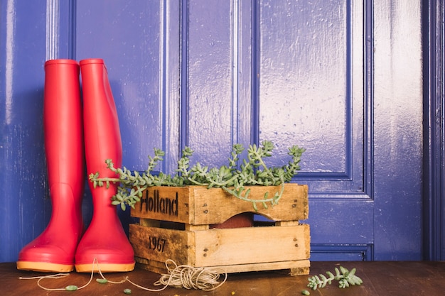 Decoración de jardinería con botas de agua y caja de madera