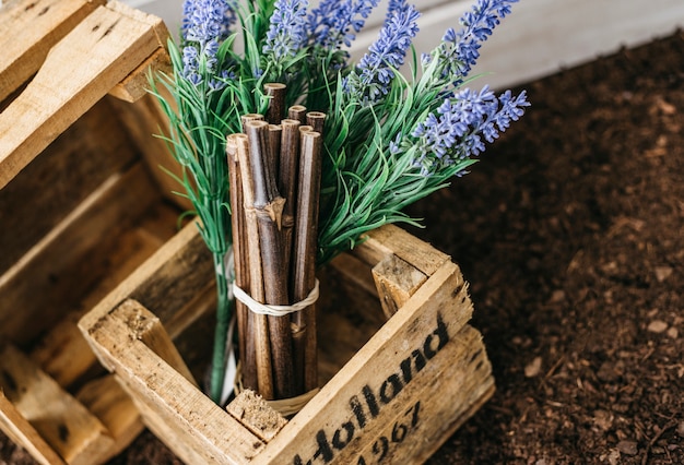 Foto gratuita decoración de jardinería con caja de madera