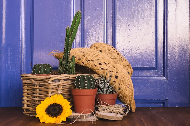 Foto gratuita decoración de jardinería con sombrero