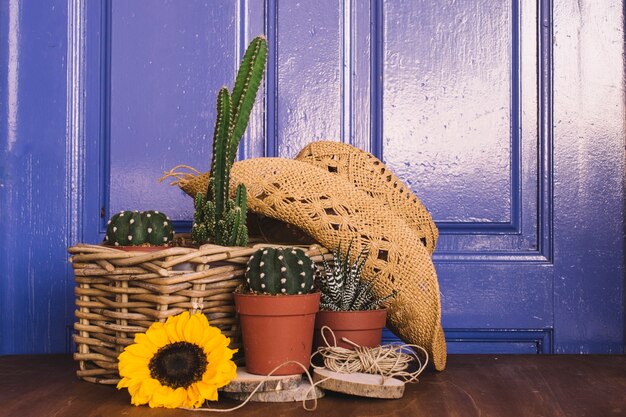 Decoración de jardinería con sombrero