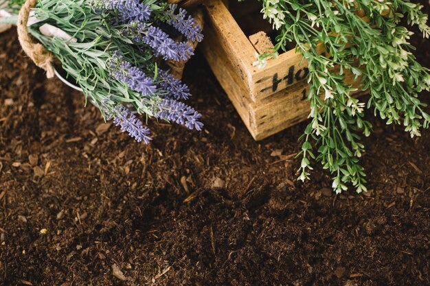 Decoración de jardinería