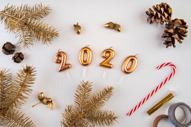 Decoración natural seca y dígitos de año nuevo 2020