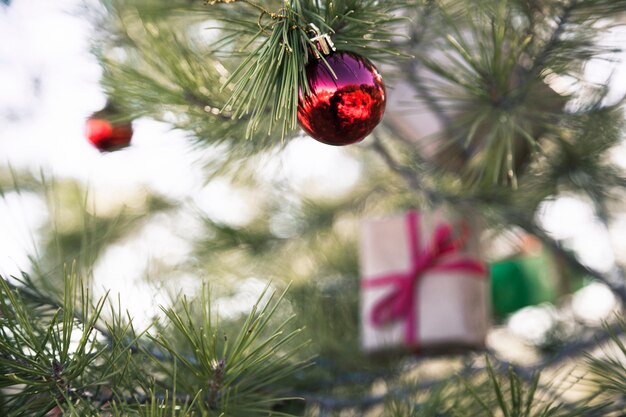 Decoración de navidad en naturaleza