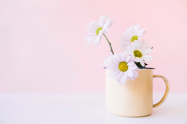 Decoración de planta con espacio a la izquierda