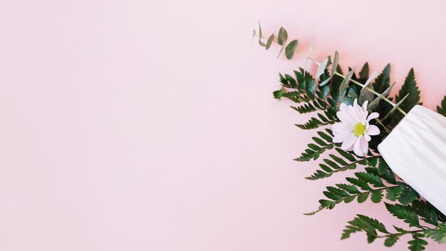 Decoración de planta con espacio a la izquierda