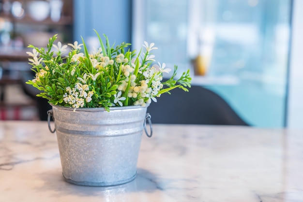 Decoración de planta de florero con sala vacía