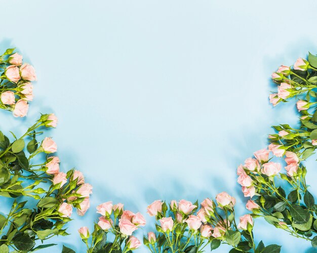 Decoración de rosas curvas sobre fondo azul