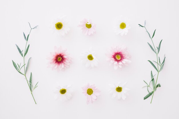 Decoración simétrica de flores