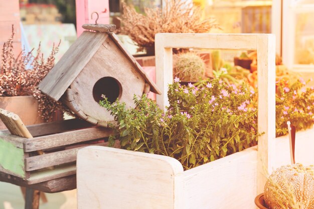 Decoraciones de jardín con casa de aves y pequeñas plantas con color de primavera